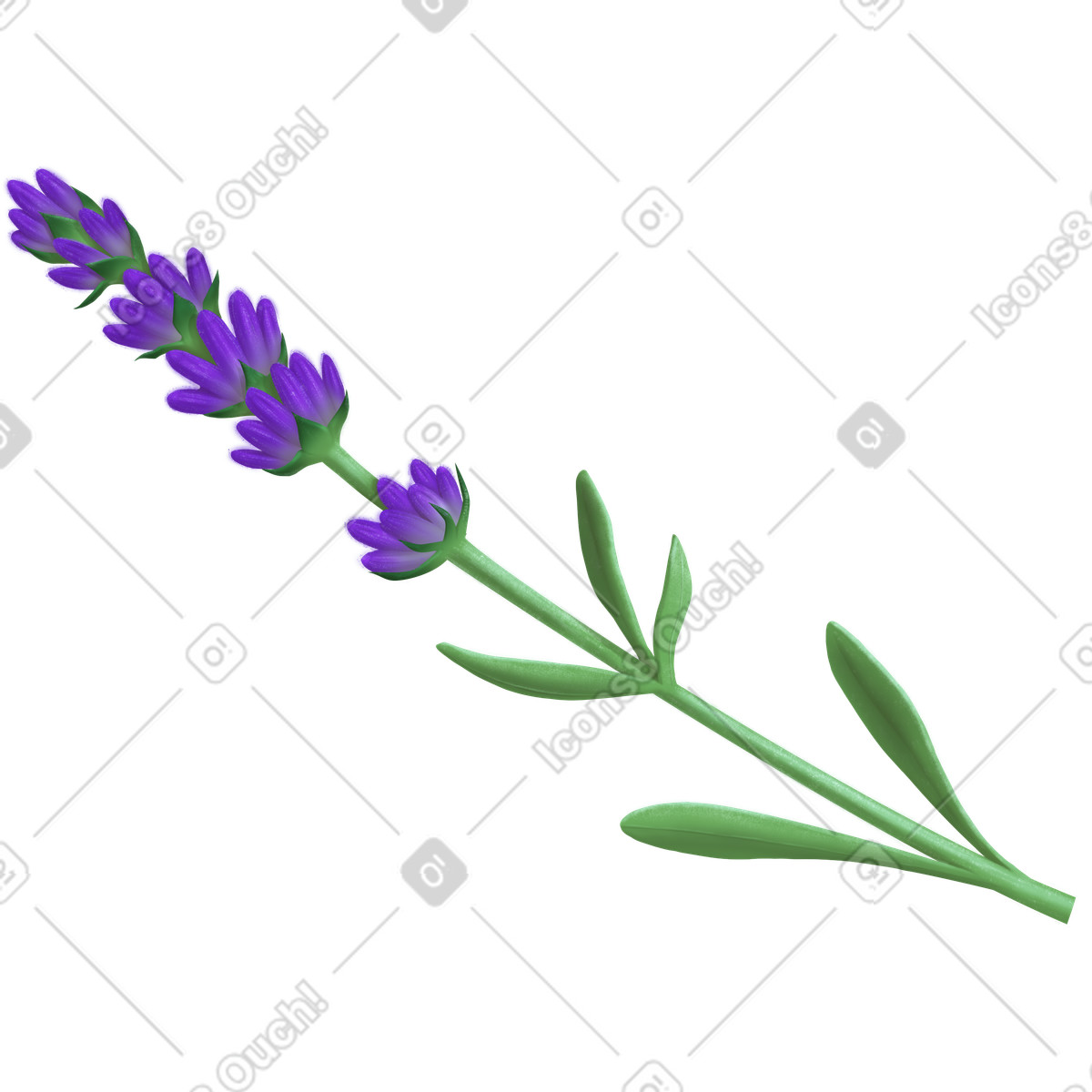 Lavender illustration in Props style download in PNG, SVG