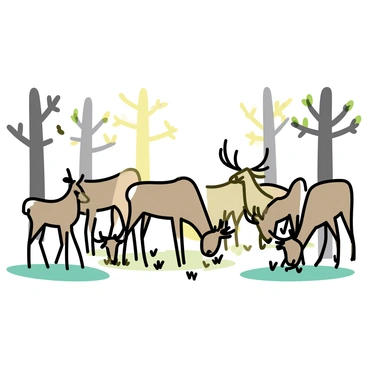 A group of six elk stands in a sun-drenched forest meadow, with patches of green grass beneath their hooves. The elk have brown fur, with white patches on their necks and are focused on grazing. Sunlight filters through the trees, creating dappled patterns of light on the ground. Some of the elk have their heads lowered, nibbling on the grass, while others are posed with their heads slightly raised, surveying their surroundings. The surrounding trees are tall and slender, with leafy branches providing a natural frame for the scene.