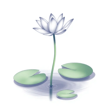 A single lotus flower is centered in the image, its petals delicately opened and forming a cup shape. The flower is positioned above the surface of a still pond, with its long green stem extending downward into the water. The pond is calm, reflecting the outline of the flower and creating a subtle ripple effect around its base. Surrounding the flower are lush green lily pads that float on the water's surface, adding to the serene composition of the scene.