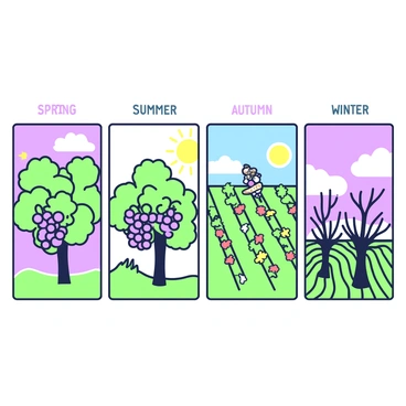 Four panels depicting a vineyard in different seasons