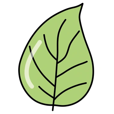 A close-up image of a green leaf, with a focus on its surface texture. The leaf displays a smooth, glossy appearance due to a waxy lipid coating. Microscopic details highlight the intricate patterns of veins running through the leaf. Light reflects off the surface, emphasizing the sheen and enhancing the visual depth of the leaf's structure.