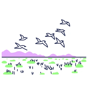 A flock of migratory birds is flying in a V-formation over a vast expanse of tundra. The birds are depicted mid-flight, with their wings outstretched. Below them, the tundra stretches out, characterized by its flat, open terrain. The ground is mostly barren, with patches of greenish moss and sparse tufts of grass. In the background, a distant horizon is visible, adding to the sense of vastness. The sky above is clear, providing a stark contrast to the earthy tones of the tundra below.