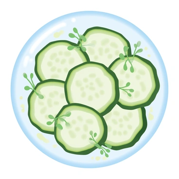 A round plate is filled with thin, fresh cucumber slices arranged in a circular pattern. Each slice is vibrant green with a smooth texture. Small sprigs of fresh herbs, such as dill and parsley, are scattered artfully over the cucumber slices, adding pops of darker green. The plate has an elegant white border, which contrasts with the bright colors of the cucumbers and herbs. A light drizzle of olive oil glistens on the surface, enhancing the inviting appearance of the dish.