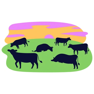 Silhouettes of several cows are positioned in a grassy field. The cows are varying in size and shape, with some standing and others lying down, all facing different directions. In the background, a vibrant sunset fills the sky with shades of orange, pink, and purple. The sun is partially hidden on the horizon, casting long shadows of the cows across the field. The overall scene captures a serene moment of nature.