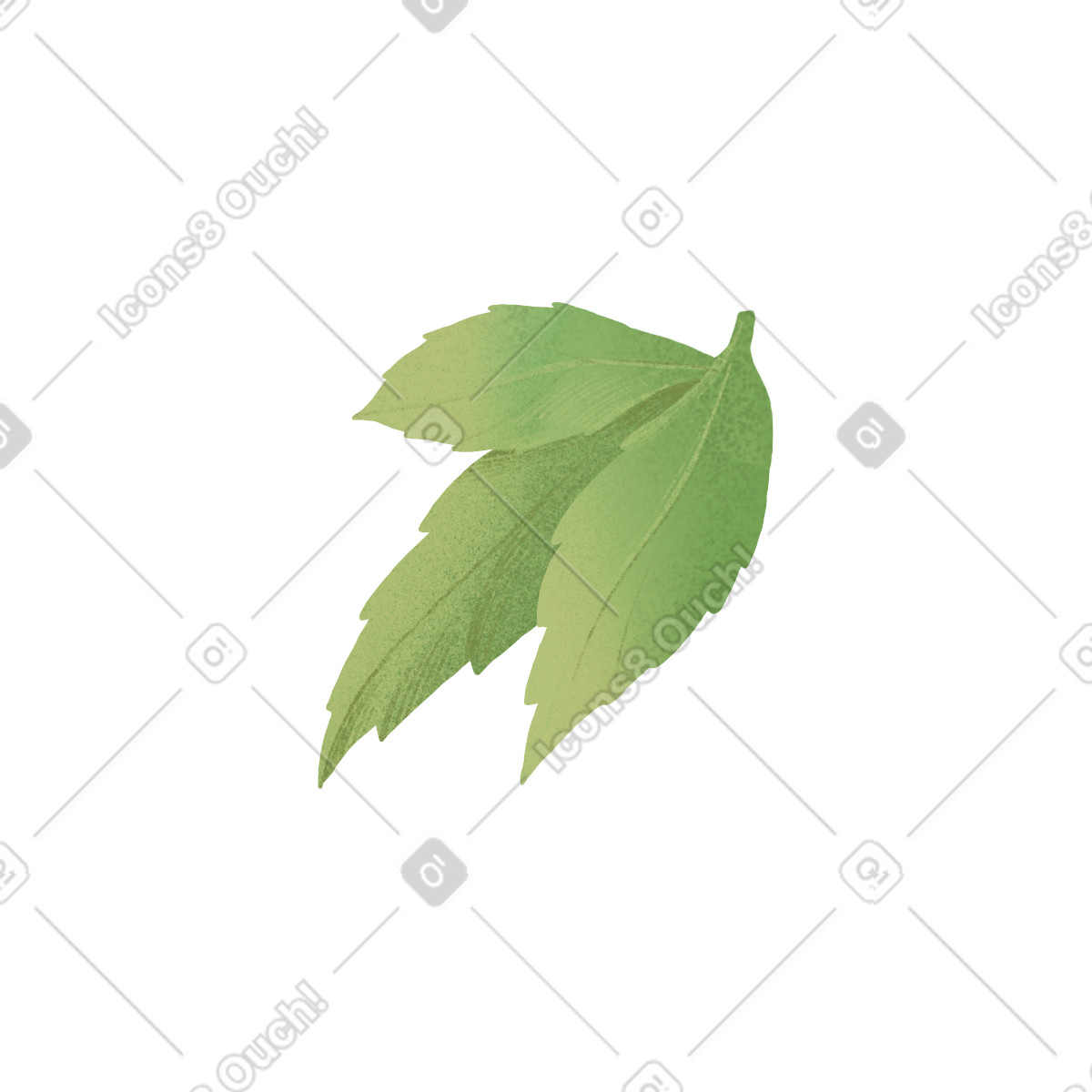 Three green leaves illustration in Floral style download in PNG, SVG