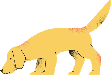 Dog PNG, SVG