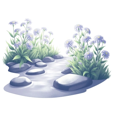 Aster