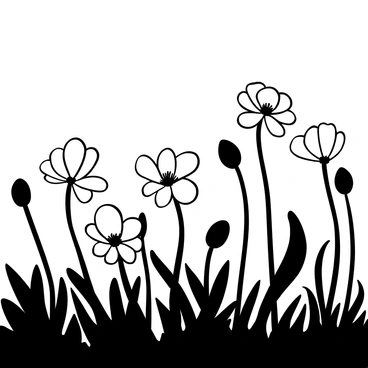 Anemone