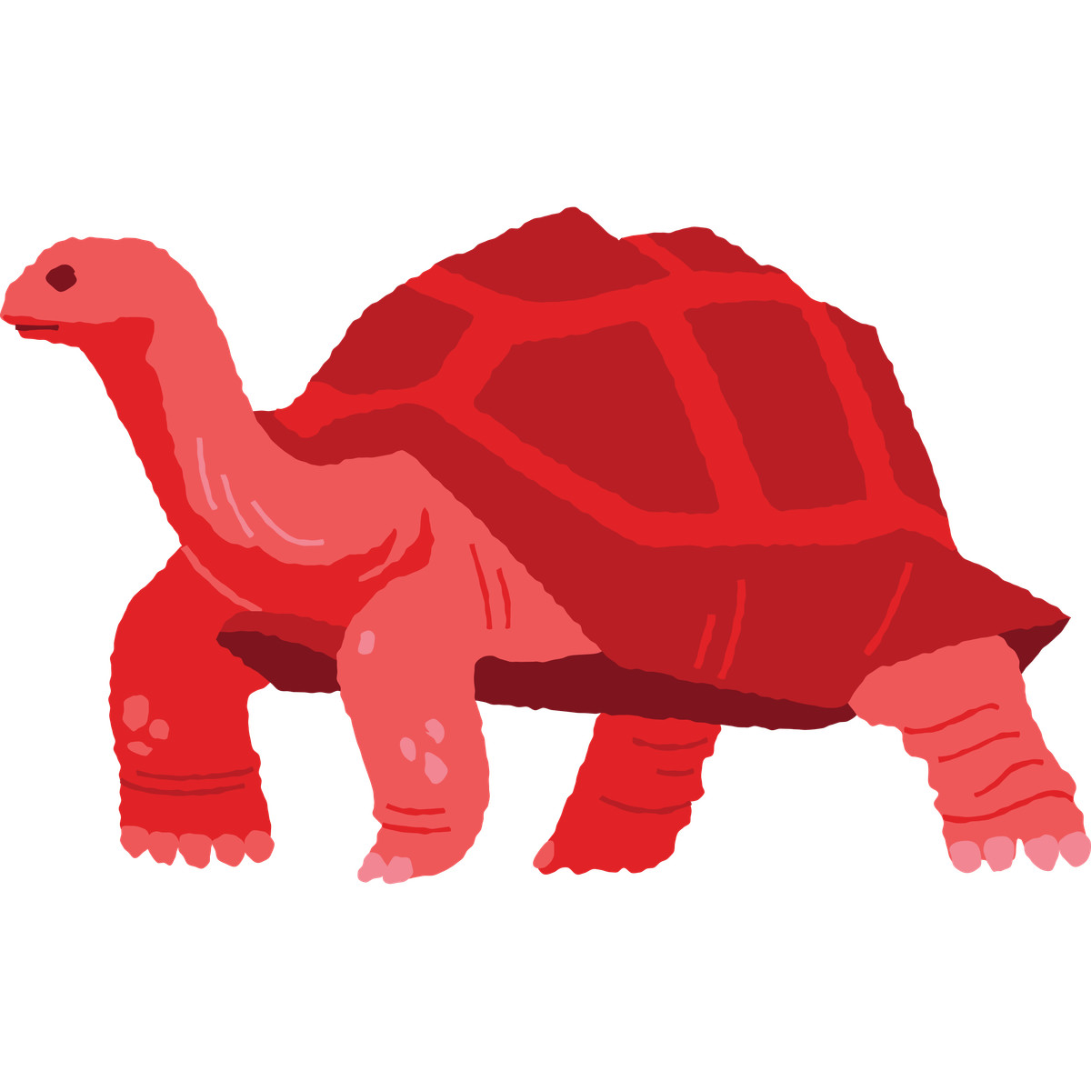 Giant tortoise standing illustration in Cherry style download in PNG, SVG