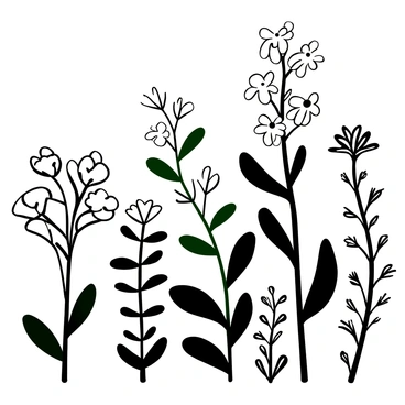 An illustration depicting a group of milkweed plants arranged to showcase their features across different seasons. In spring, the plants are adorned with fresh green leaves and budding flowers. In summer, the milkweed is in full bloom with large clusters of flowers and a vibrant green foliage. During fall, the leaves turn shades of gray and the seed pods open, releasing fluff into the air. In winter, the plants stand tall with barren branches and snow gently resting on them. The background includes subtle hints of seasonal changes, enhancing the transition between each season.