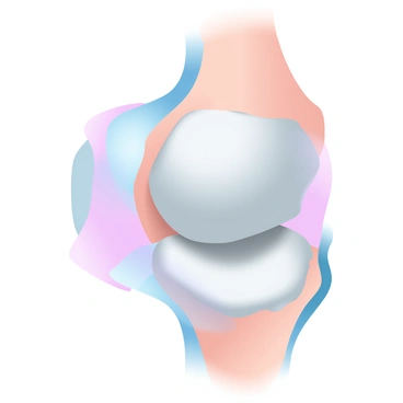 A detailed view of a joint featuring articular cartilage. The image showcases the "smooth surface" of hyaline cartilage, emphasizing its glossy texture. Surrounding the cartilage are "dense connective tissues" that are visibly structured and provide support. The joint capsule is partially visible, indicating its surrounding role. The overall composition presents an intricate anatomy of the cartilage and its environment, capturing the "delicate structure" essential for joint movement. The color palette consists of gradient pastel colors, enhancing the visual appeal of the anatomical features.