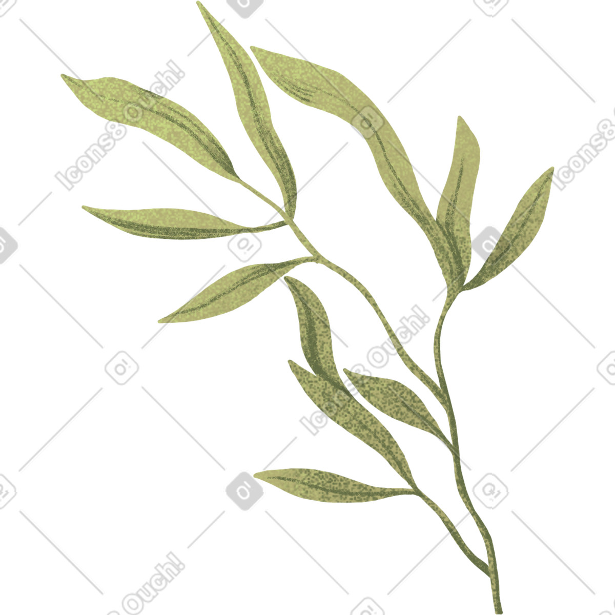 Thin branch with elongated green leaves illustration in Floral style download in PNG, SVG