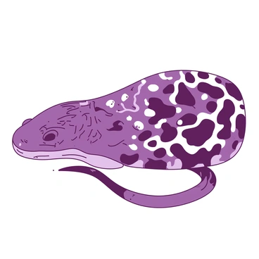 Eel