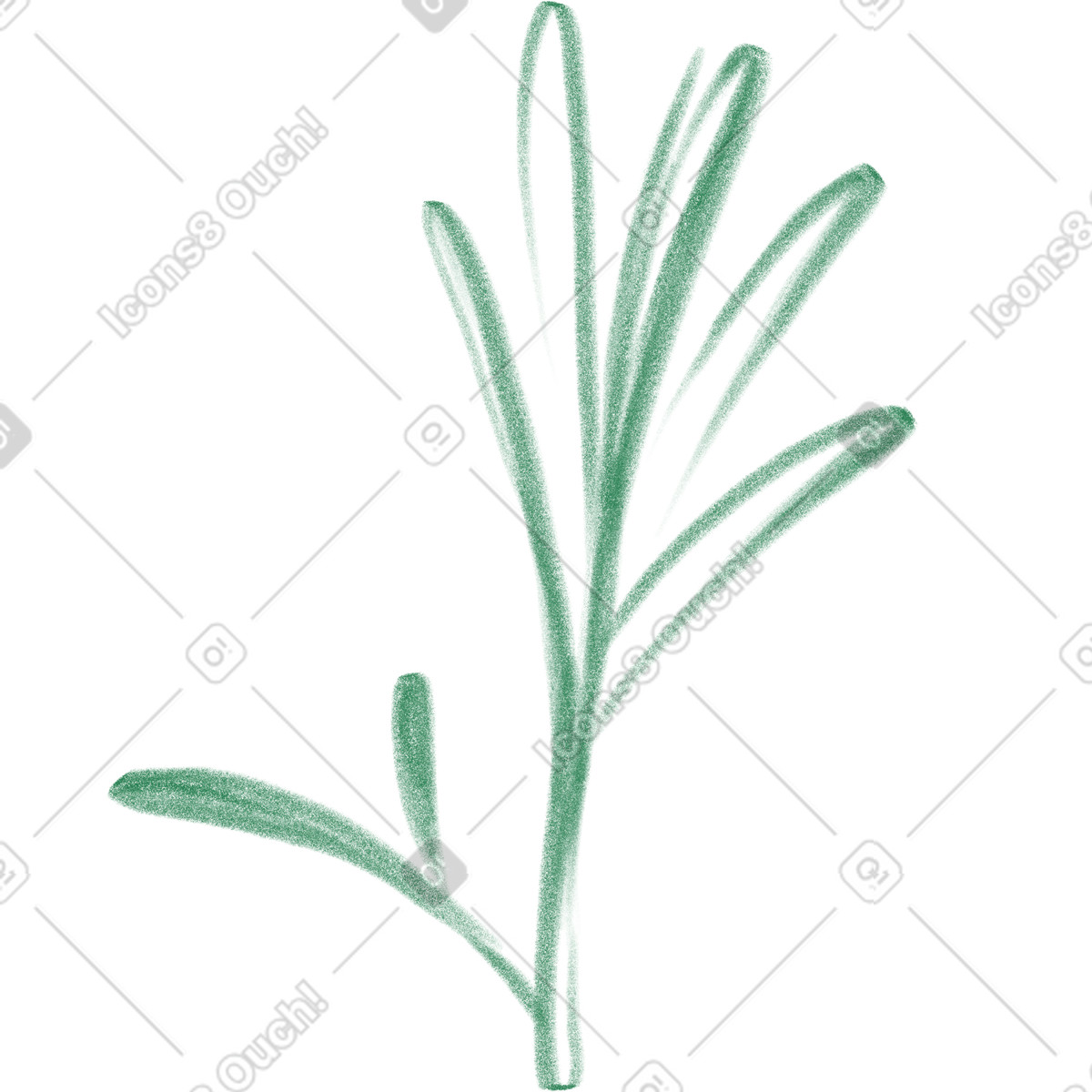 Ilustración Rosemary sprig en estilo Doodle a descargar en PNG y SVG