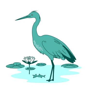 A teal heron is standing with its long neck extended in the middle of a white swamp. The heron's feathers are ruffled slightly by a gentle breeze, revealing its elegant form. In the background, patches of white lilies float on the surface of the water, creating a serene contrast to the teal heron. The heron is focused, eyes fixed on the water below, where a small fish can be seen swimming near the surface. The scene conveys a sense of stillness and anticipation as the heron waits patiently to catch its prey.