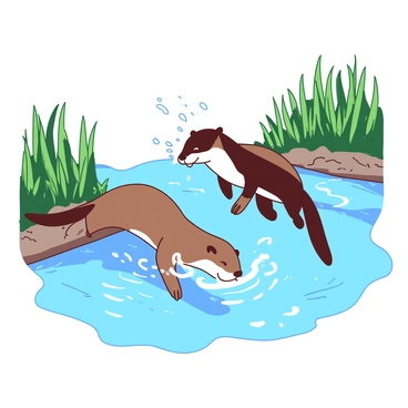 Two playful otters are swimming in a sparkling river. The water is clear, catching sunlight as it flows gently. One otter is diving underwater while the other is floating on its back, playfully splashing water with its paws. Surrounding the river, there are lush green reeds and small pebbles at the water's edge. The scene captures the joy and liveliness of the otters as they enjoy their aquatic environment.