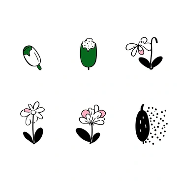 A series of small illustrations depicting the various stages of "milkweed bloom." The first illustration shows a single green milkweed pod starting to open, revealing soft white fluff inside. The next illustration features a partially bloomed flower cluster, with delicate buds beginning to unfurl. The third illustration captures the milkweed in full bloom, showcasing multiple white flowers with pink accents. The final illustration portrays the milkweed pods fully formed, bursting open to release clusters of fluffy seeds carried by the wind. Each illustration is framed to highlight the intricate details of the plant's life cycle.