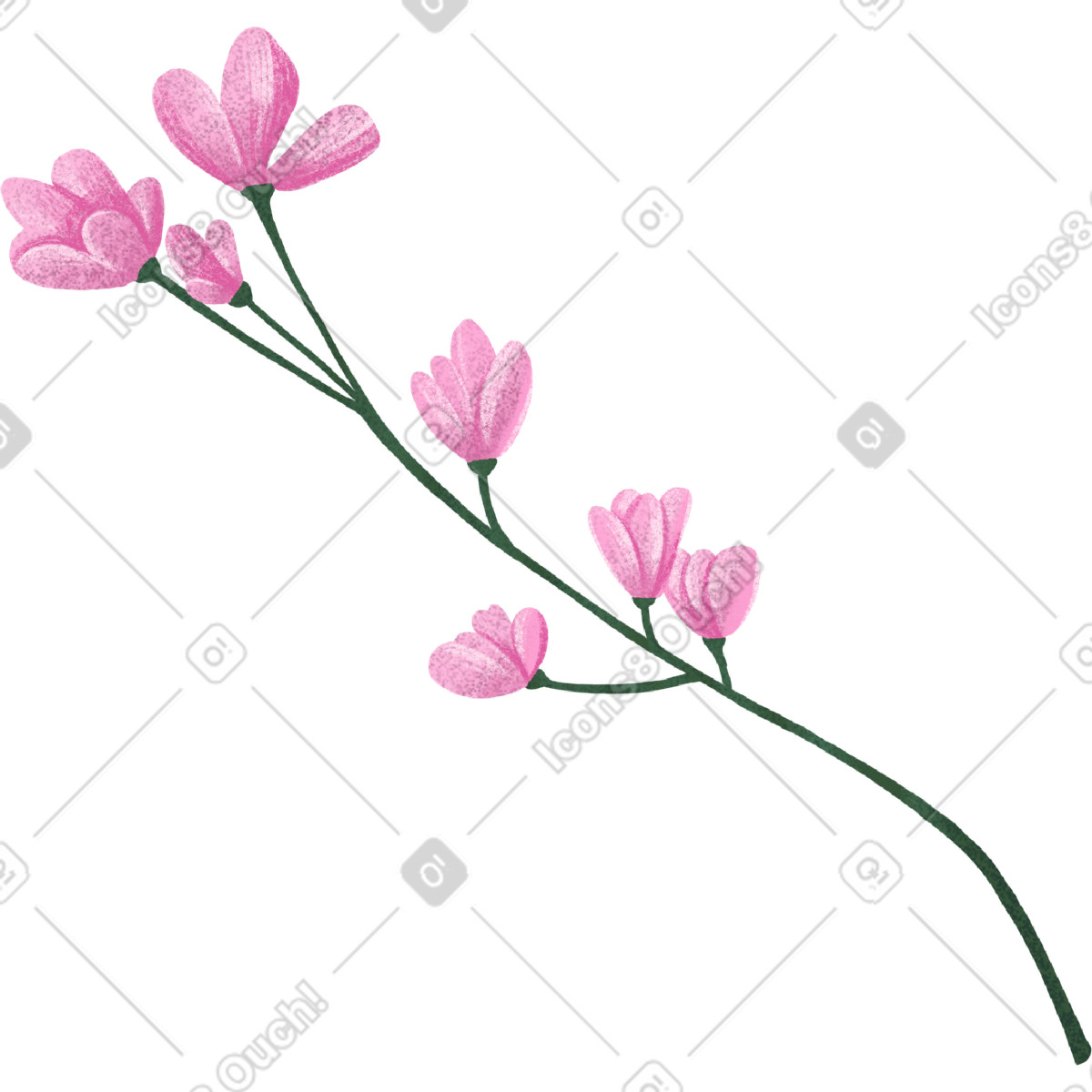 下载 Floral 风格的 Twig with small pink flowers 插画，支持 PNG、SVG 格式