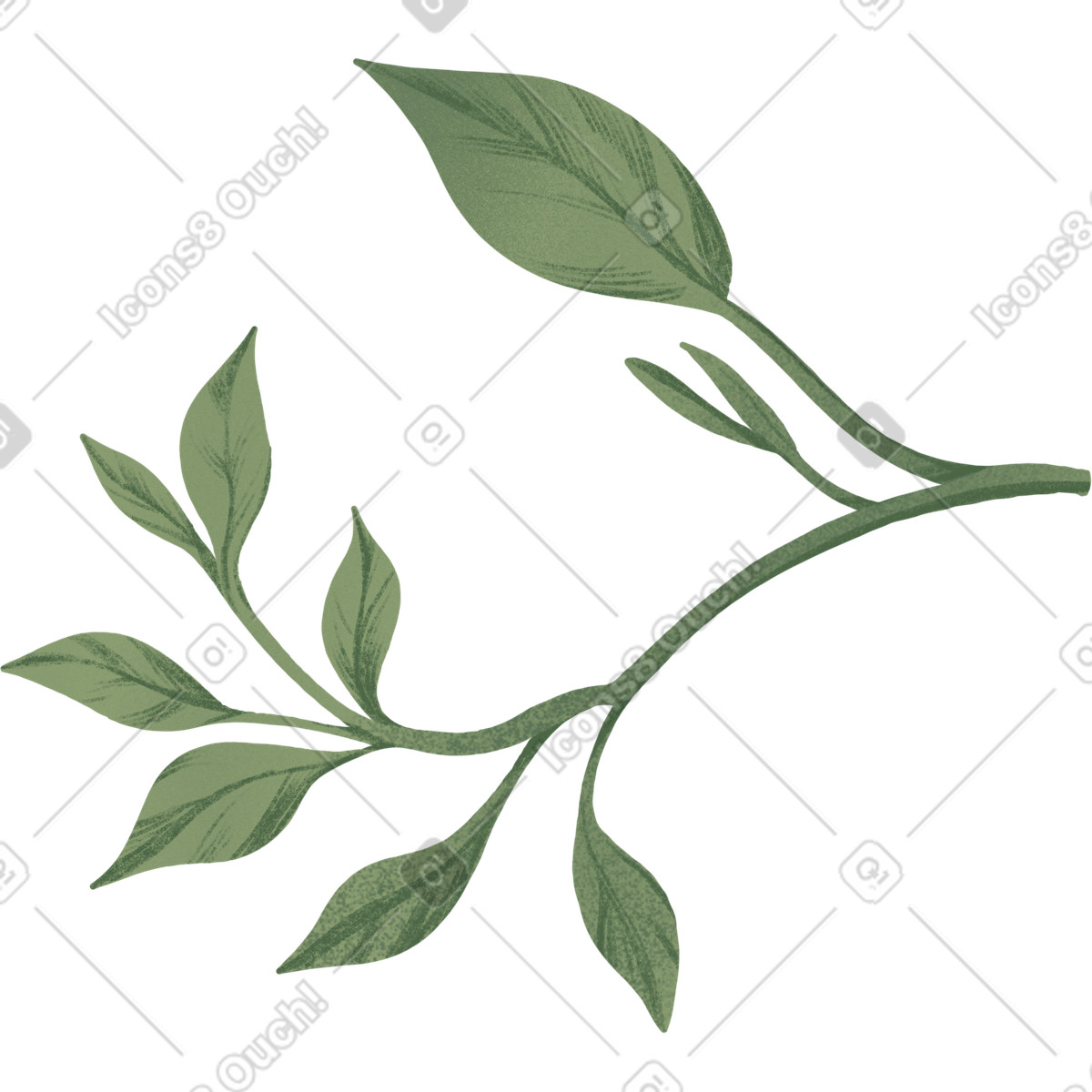 Twig with green leaves of various sizes illustration in Floral style download in PNG, SVG