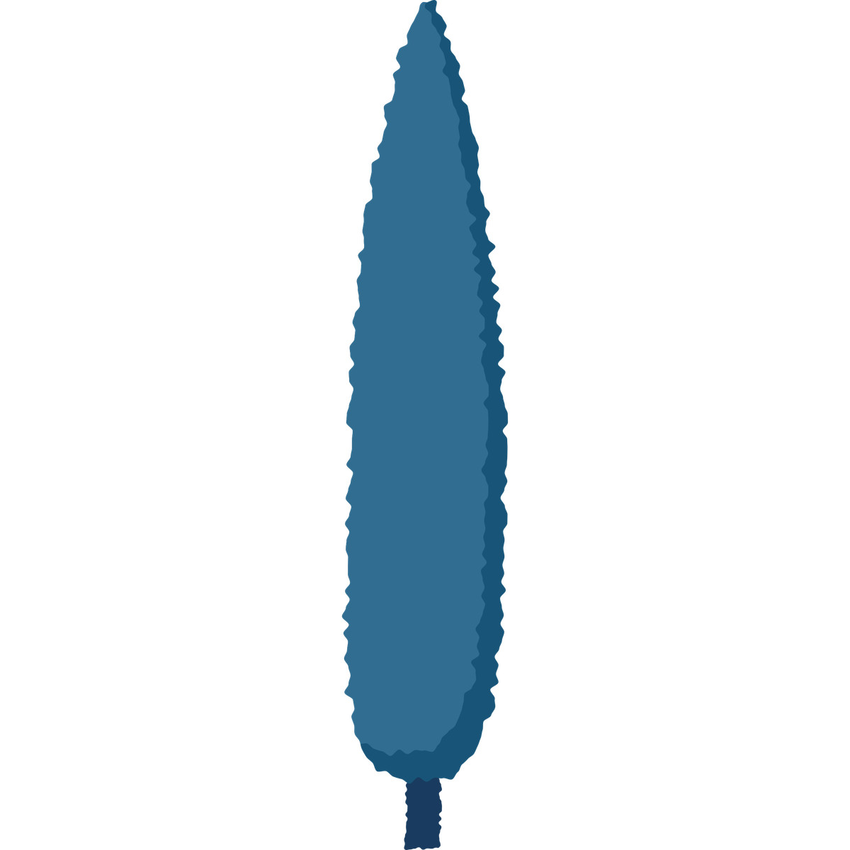 Cypress-Illustration im Cherry-Stil als Download in PNG, SVG
