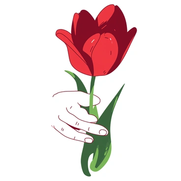 A white hand with delicate fingers is gently holding a vibrant, red tulip that is in full bloom. The petals of the tulip are velvety and slightly curled, showcasing their intricate details. The background is softly blurred, emphasizing the beauty of the tulip and the hand that cradles it. A few green leaves are visible at the base of the tulip, adding a touch of natural contrast to the scene.