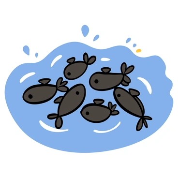 A group of small, dark-colored tadpoles swimming close together in a playful school formation. They have smooth bodies and tiny tails, creating ripples in the clear water around them. Some tadpoles are slightly larger, while others are smaller, showcasing diversity in size. The sun filters through the water, casting soft, shimmering light on the tadpoles as they navigate in coordinated movements.