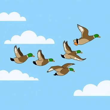 A V-formation of several ducks in mid-flight, soaring across a bright blue sky. The ducks have glossy green heads, brown bodies, and white markings on their wings. They are shown flapping their wings energetically, with some ducks slightly lower than others in the formation. Fluffy white clouds are scattered in the sky, adding a sense of openness to the scene. The sunlight catches the ducks, highlighting their feathers.