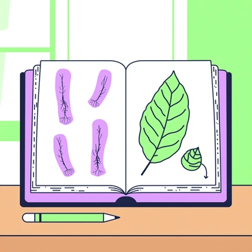 An open book is positioned on a wooden table, showcasing its pages filled with sketches. The left page displays detailed drawings of various human veins, illustrating their intricate pathways. The right page features a collection of botanical veins, highlighting the fine lines and patterns found in leaves. The book has a textured cover with visible spine stitching. Beside the book, there is a green pencil lying flat, and in the background, a soft light filters through a nearby window, illuminating the sketches.
