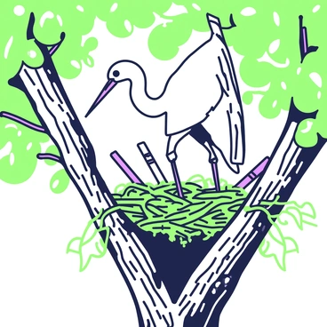 An egret carefully arranging sticks in its nest high in a tree