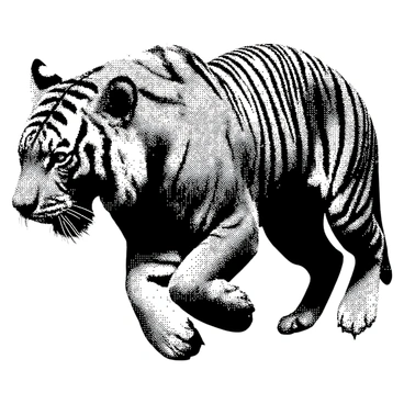 A large tiger is captured in mid-leap, its powerful body arched gracefully as it moves through the air. Its eyes are wide and focused, radiating intensity as it zeroes in on its prey. The tiger's claws are extended, showcasing its sharp, formidable talons. Its fur displays a striking pattern of dark stripes against a lighter undercoat. The muscles in its legs and back are taut, emphasizing the force of its leap. The background hints at a dense jungle environment, with foliage slightly blurred to suggest movement.