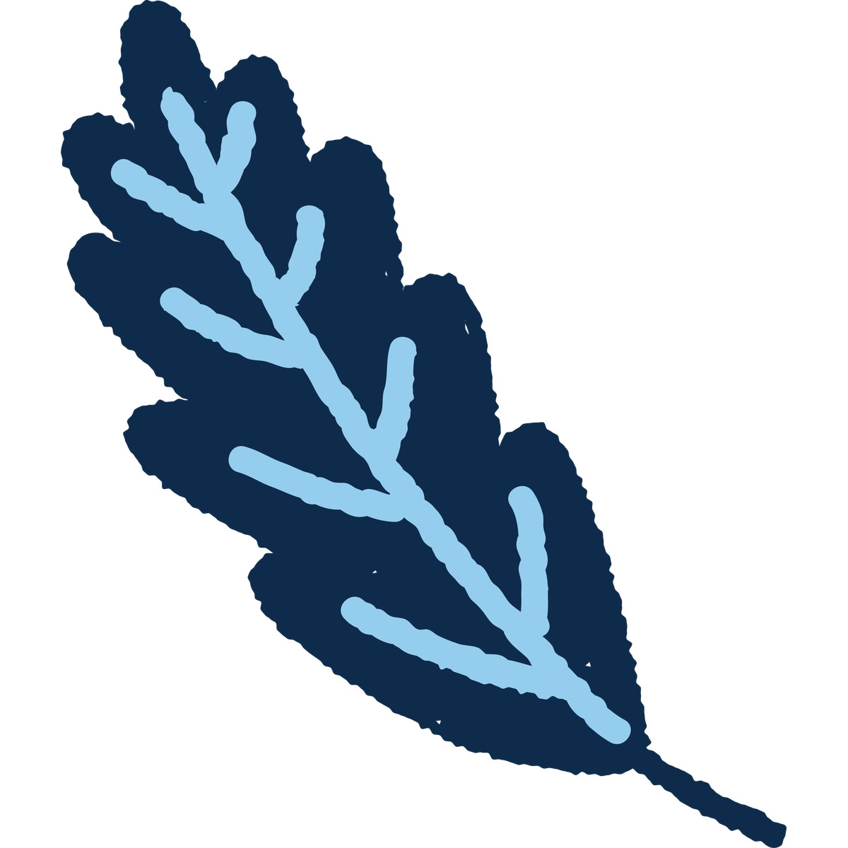 Botanical oak leaf with branching blue veins-Illustration im Cherry-Stil als Download in PNG, SVG