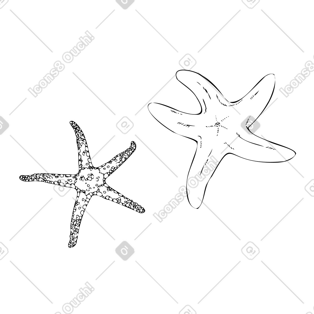 Illustration Étoiles de mer dans le style Experimental à télécharger aux formats PNG, SVG