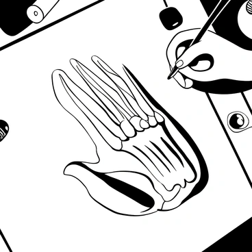 A human hand positioned in a way that showcases its anatomy, displaying visible muscles and bones. The hand is partially shaded to emphasize the structure, with distinct lines marking the contours of the muscles and joints. There is an artist's hand holding a pencil, carefully drawing the anatomical details. Nearby, various tools like erasers and sketching pencils are scattered on the surface. The background features a hint of sketch paper, enhancing the focus on the anatomical study.