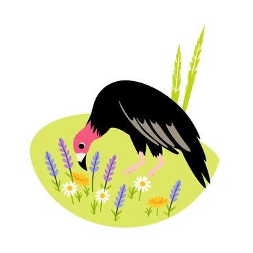 A turkey vulture with dark feathers and a distinctive red head is curiously bending down to examine a patch of colorful wildflowers. The wildflowers consist of vibrant yellow daisies, purple lupines, and delicate white daisies spread across the green grass. The turkey vulture’s wings are slightly spread, as if ready to take flight at any moment. In the background, a few tall grasses sway gently in a soft breeze, completing the natural setting.