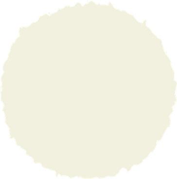Circle beige PNG, SVG
