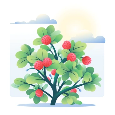 A raspberry plant with vines full of ripe berries against a sunny sky