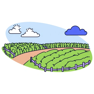 A farmland scene with vibrant green crops growing in neat rows on one side. The crops are bathed in light from a bright sun shining overhead. On the opposite side of the scene, dark clouds loom, creating a contrast with the sunny section. The field is bordered by a rustic wooden fence and a single dirt path leading through the crops.
