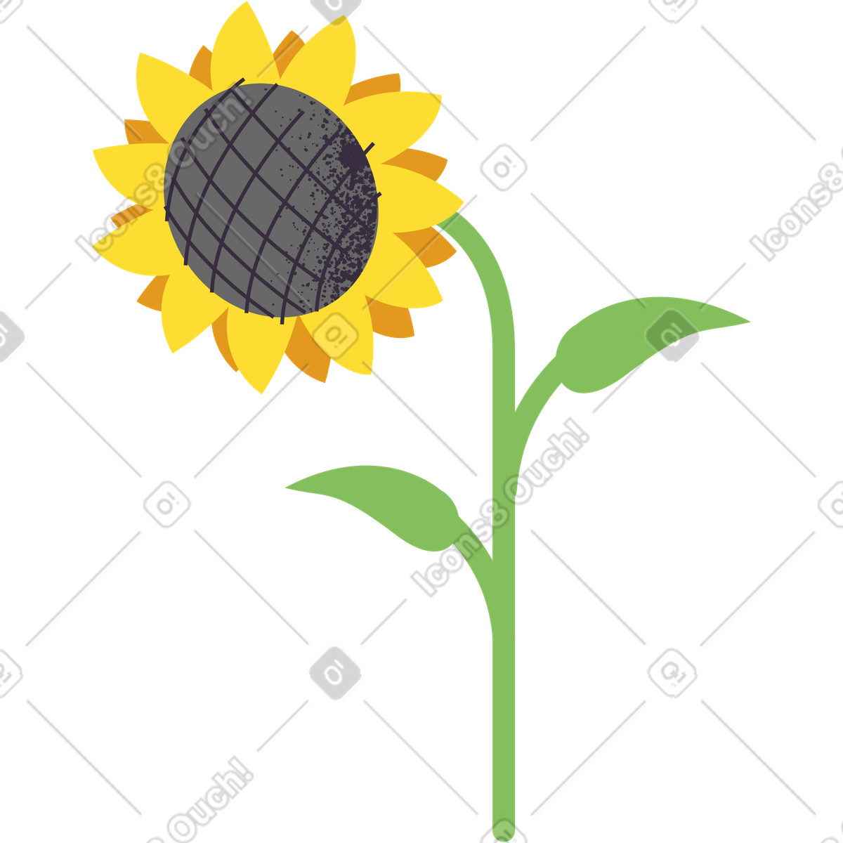 Pale 스타일의 해바라기 일러스트레이션 PNG, SVG 다운로드
