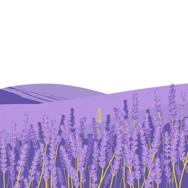 A vast field filled with bright purple lavender flowers stretching across the landscape. The flowers are swaying gently in the breeze, creating a dynamic motion. Above, a clear blue sky is visible, enhancing the vibrant colors of the lavender. The scene is bathed in warm sunlight, highlighting the beauty of the blooming flowers.