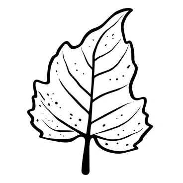 A detailed study of a single leaf showing its veins and texture