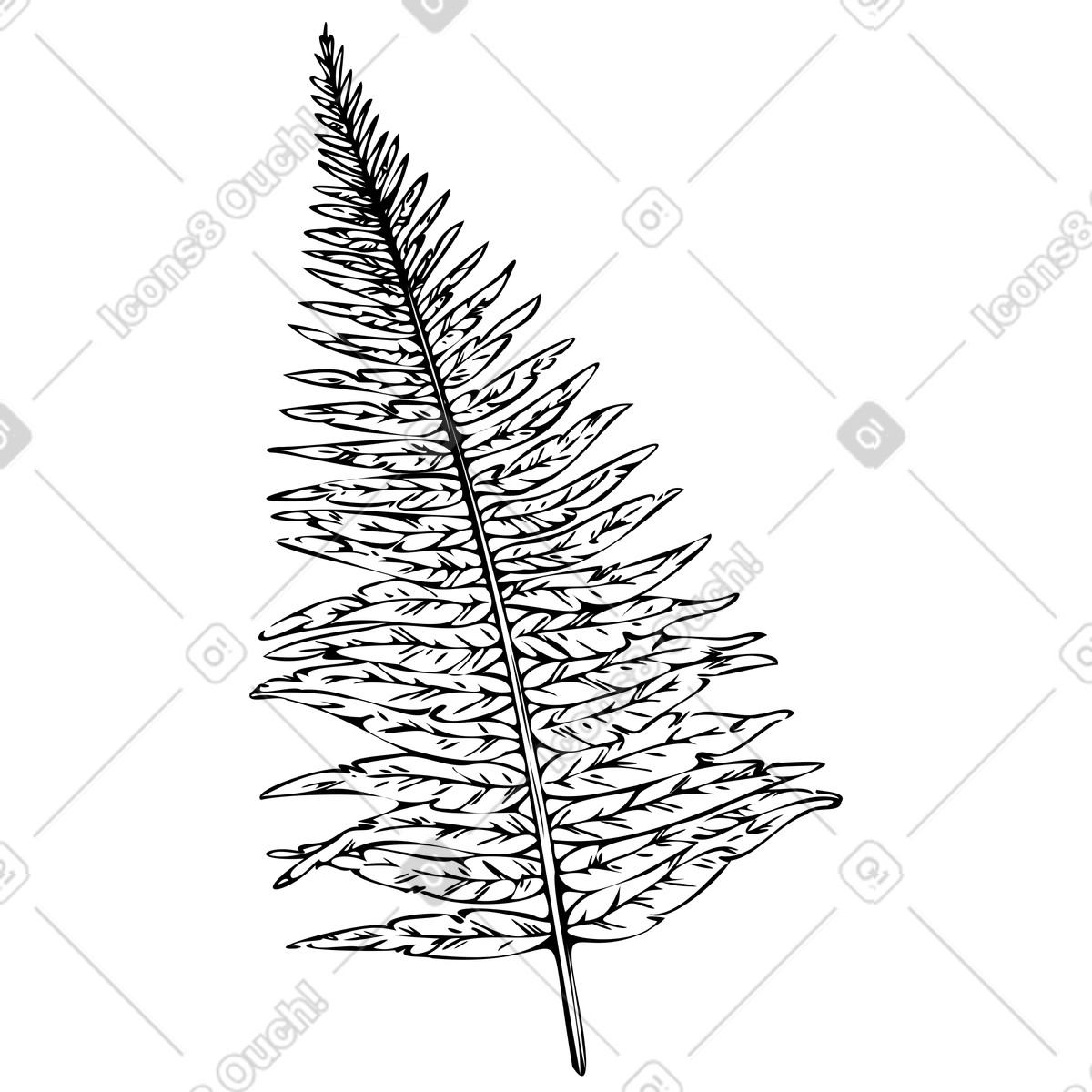 Leaf of bracken illustration in Experimental style download in PNG, SVG