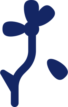 Flower PNG, SVG