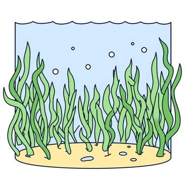A dense forest of green seaweed with long, flowing fronds swaying gently in the underwater currents. The seaweed is varied in height and shape, creating a lush, textured environment. Sunlight filters through the water, casting dappled light patterns on the sandy ocean floor. Small fish can be seen darting in and out of the seaweed, adding movement to the scene. Bubbles rise towards the surface, enhancing the sense of depth in the underwater landscape.
