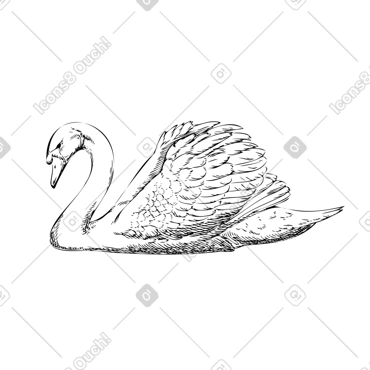 Illustration Cygne de natation dans le style Experimental à télécharger aux formats PNG, SVG