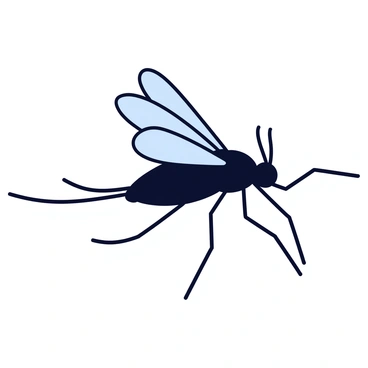A mosquito in mid-flight with elongated body and long legs. Its wings are translucent and catch the light, creating a subtle shimmer effect. The mosquito's body is a dark color, contrasting with the delicate wings. The background is a simple, solid color to emphasize the mosquito's details.