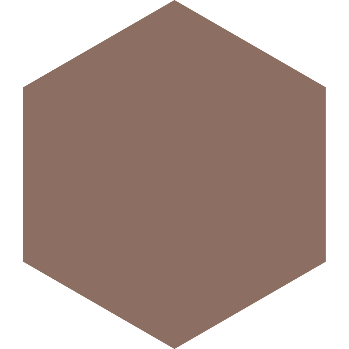 下载 Fogg 风格的 Hexagon brown 插画，支持 PNG、SVG 格式