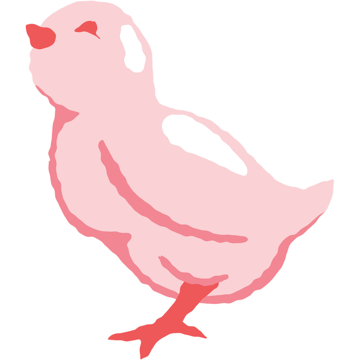 下载 Cherry 风格的 Small chicken 插画，支持 PNG、SVG 格式