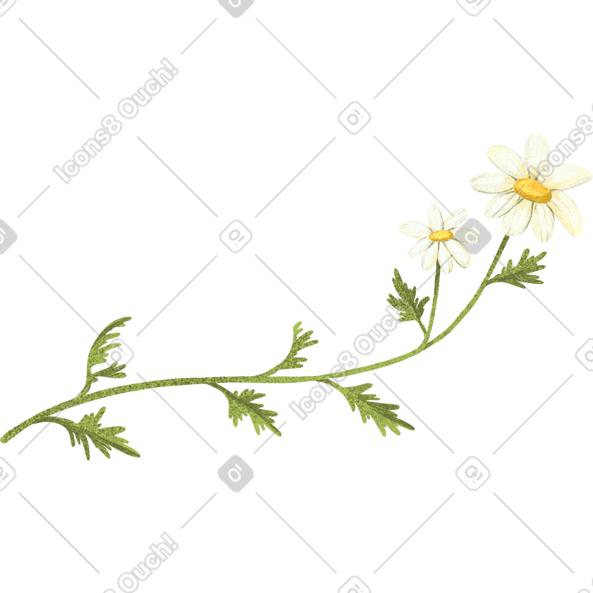 Иллюстрация Ромашки на зеленом стебле в стиле Floral — скачать в форматах PNG, SVG