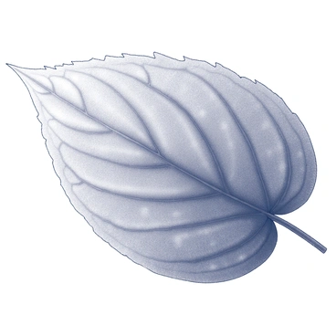 A close-up view of a leaf displaying its detailed surface texture. The leaf features a network of veins that branch out intricately, creating a complex pattern. Tiny structures, such as trichomes and stomata, dot the surface, adding to the richness of the microscopic landscape. The overall composition emphasizes the fine details of the leaf's anatomy, showcasing the complexity of nature in a monochrome drawing.