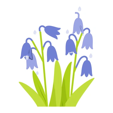 Bluebell
